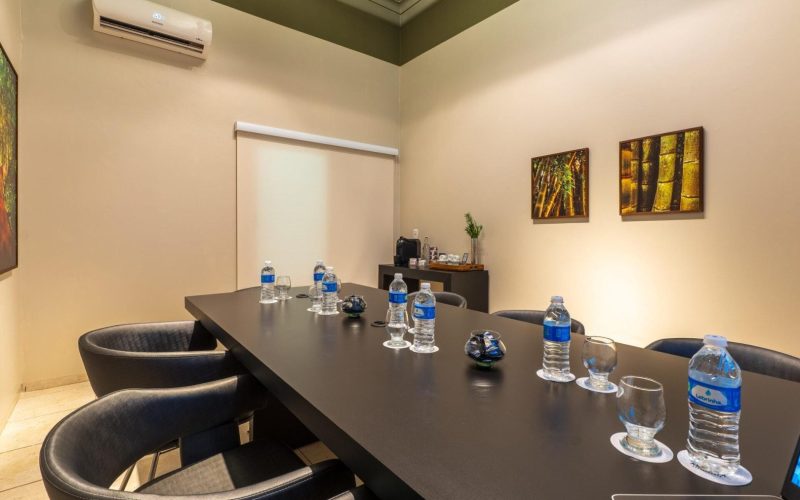 Sala Corporativo Castanheiras - Ucayali