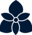 orquidea orquidea